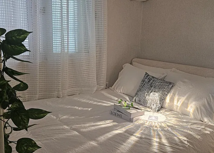 Appartement Miso *
