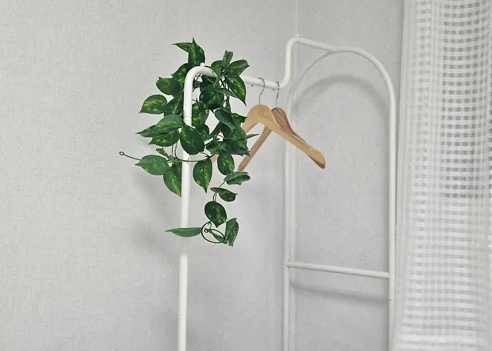 Miso Appartement